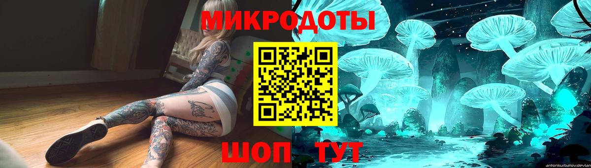 Баксан  Псилоцибиновые грибы Psilocybe  Вход с VPN 